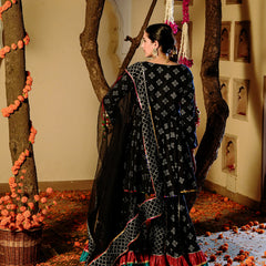 Moonshadow Black Sharara Set