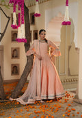 Meher Peach Ethnic Dress